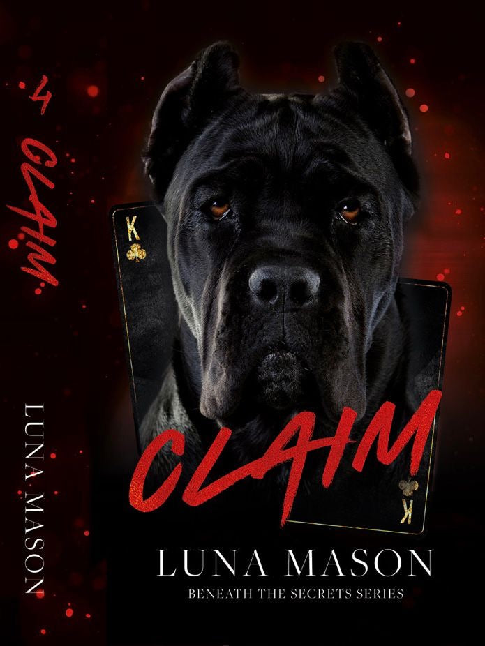 BENEATH THE SECRETS- Special Edition Book Bundle